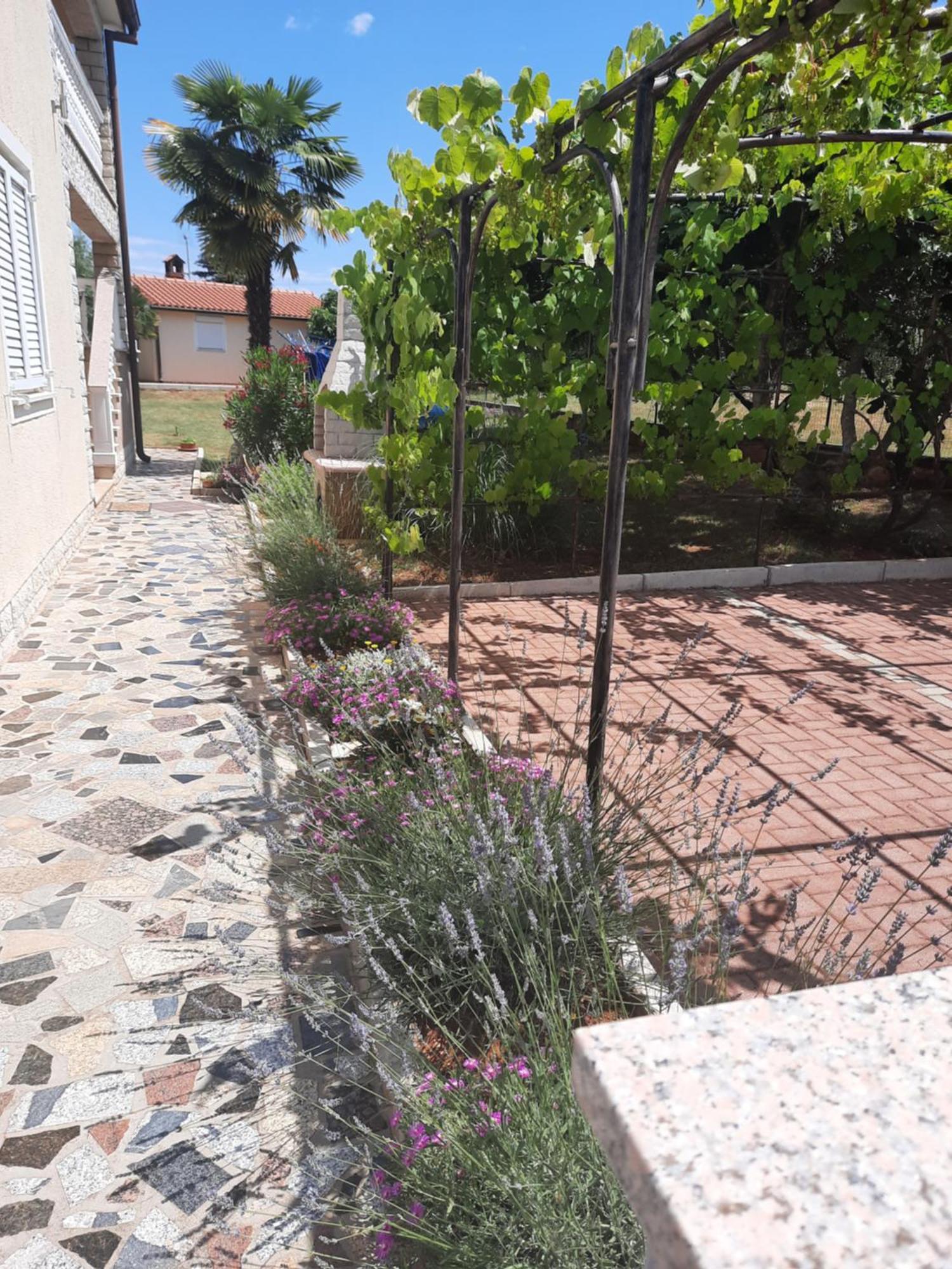 Apartments Marinela Porec Ruang foto